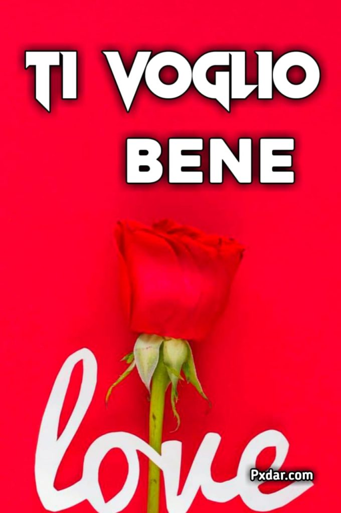 Frasi Del Ti Voglio Bene