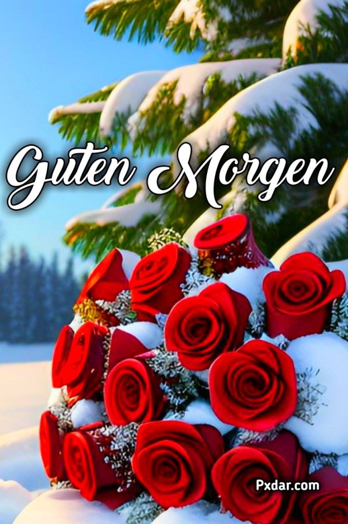 Guten Morgen Bilder Winter Kostenlos Für Whatsapp