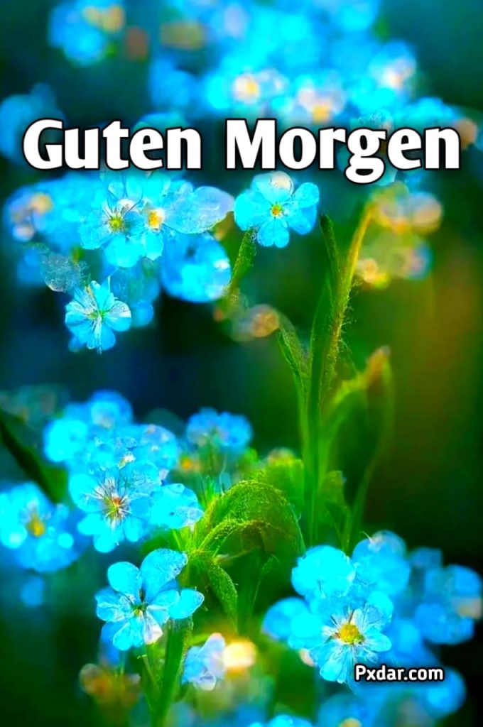 Guten Morgen Lächeln Spruch