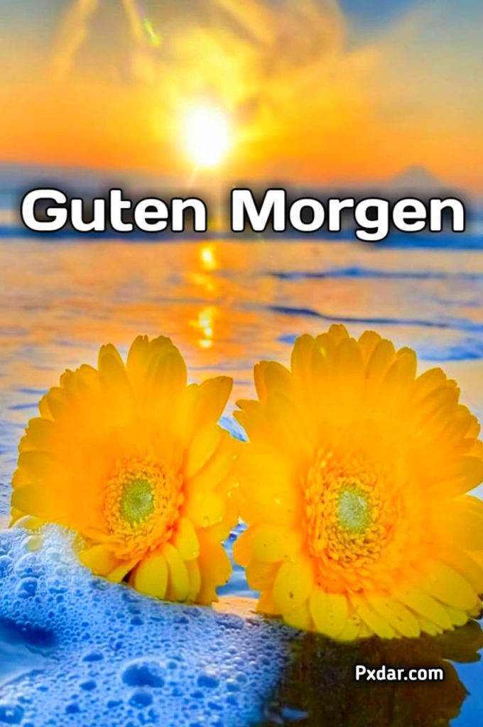 Guten Morgen Sprüche Liebe