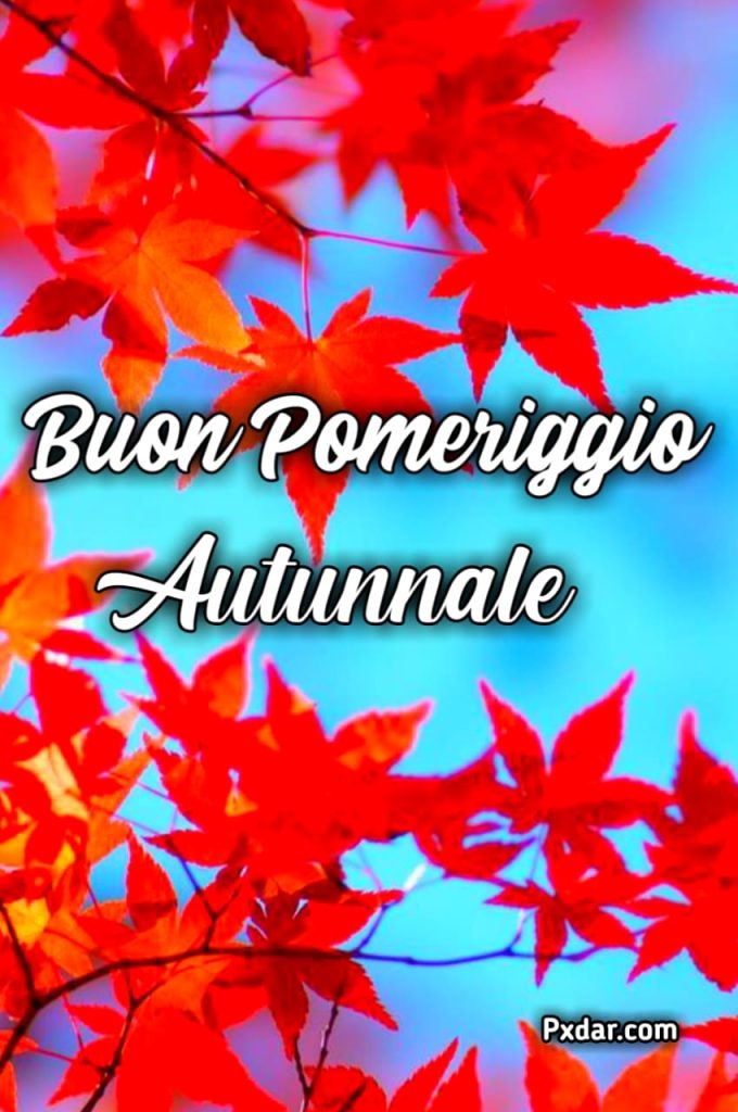 Immagine Buon Pomeriggio