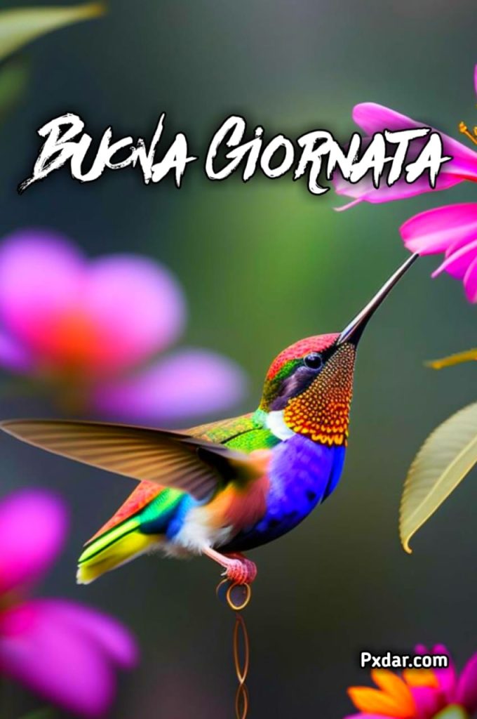 Immagini Buona Giornata