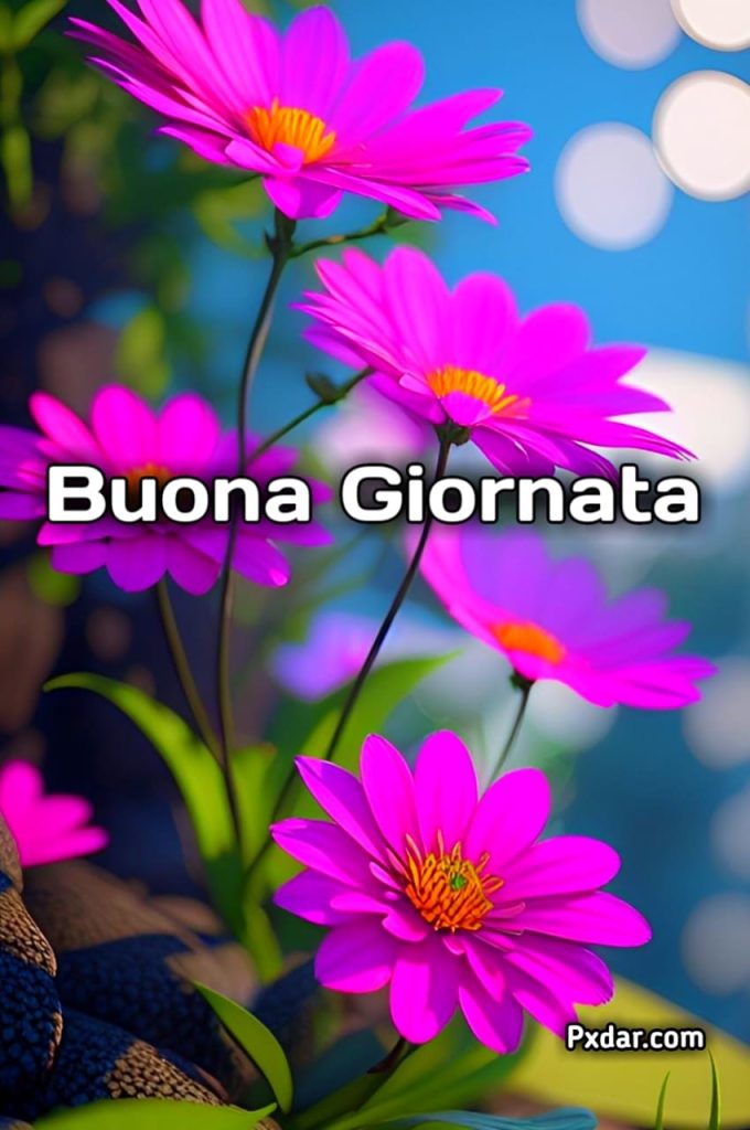 Immagini Buona Giornata Nuove