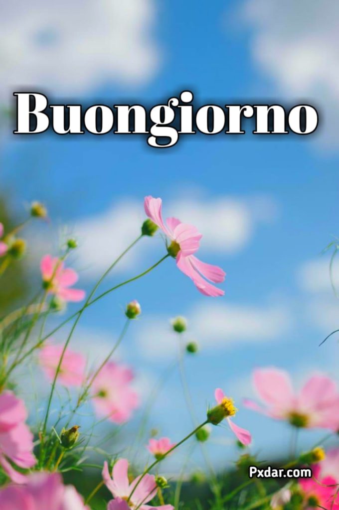 Immagini Buongiorno Primaverili