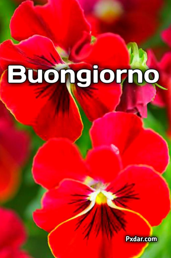 Immagini Buongiorno Primaverili