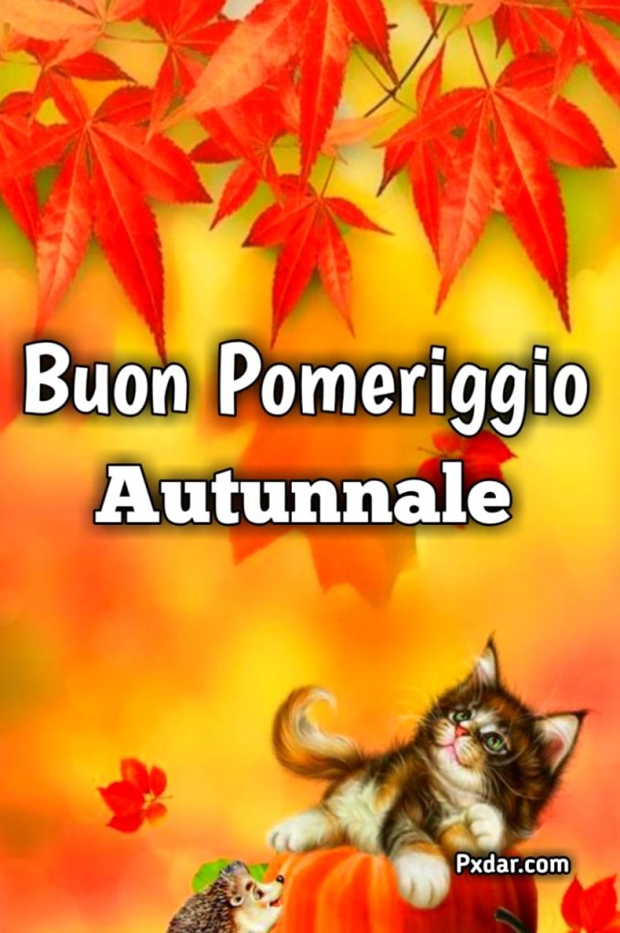 Immagini Di Buon Pomeriggio