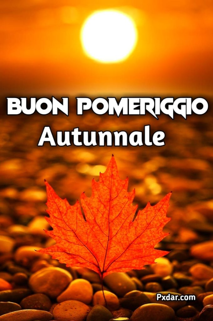 Immagini Di Buon Pomeriggio Nuove