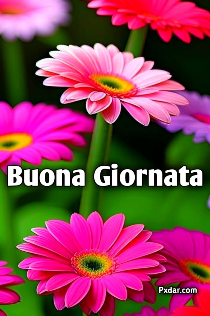 Immagini Di Buona Giornata Nuove