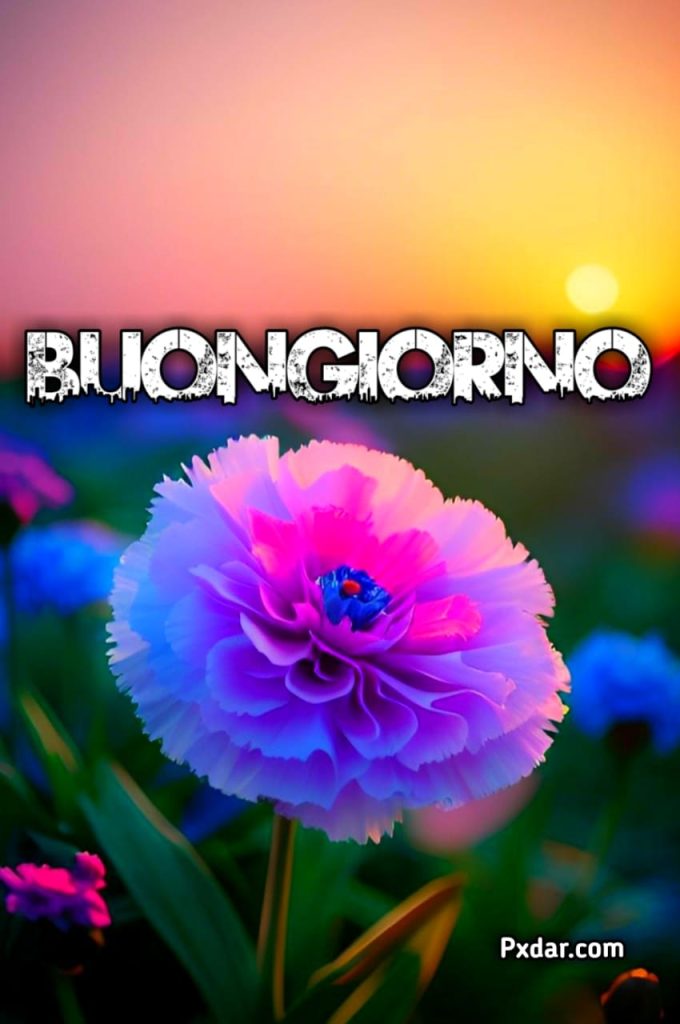 Immagini Di Buongiorno