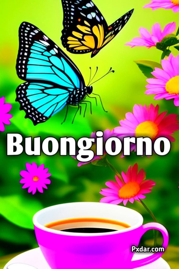 Immagini Di Buongiorno Bellissimi