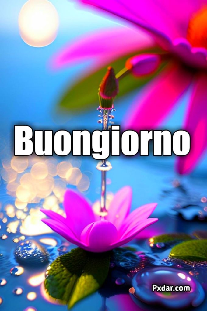 Immagini Di Buongiorno E Buon Martedì