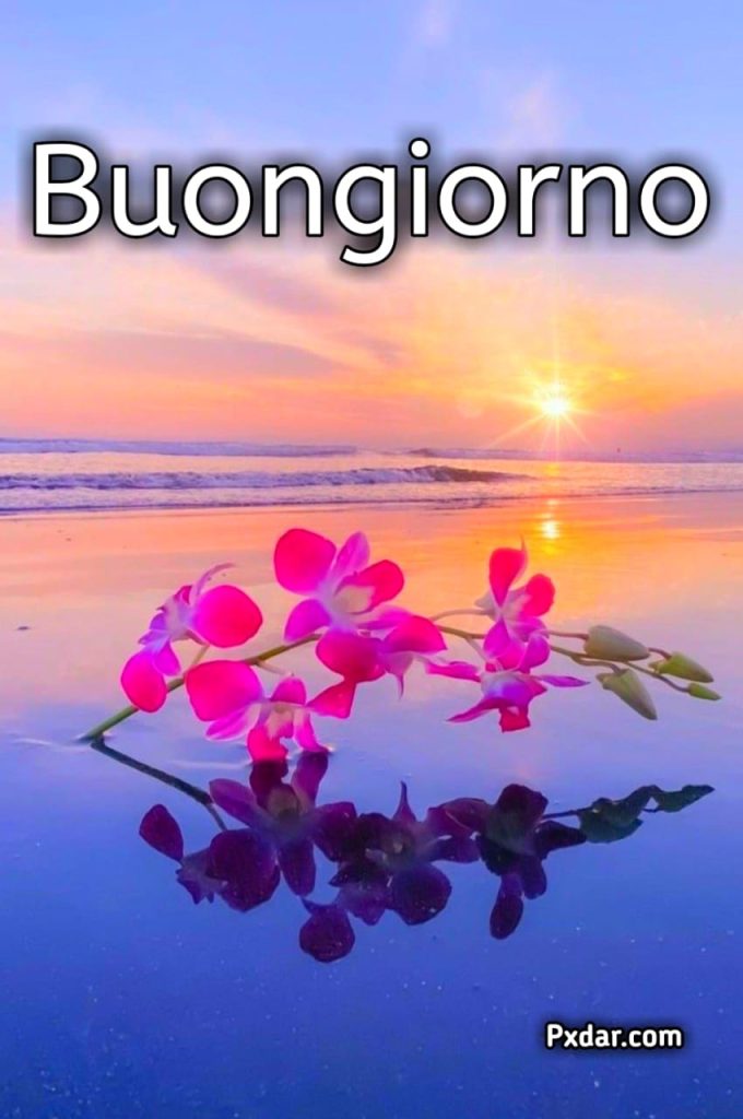 Immagini Di Buongiorno E Buon Sabato