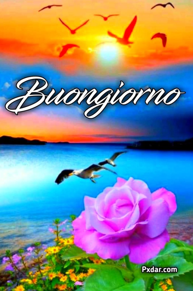 Immagini Di Buongiorno E Buon Venerdì