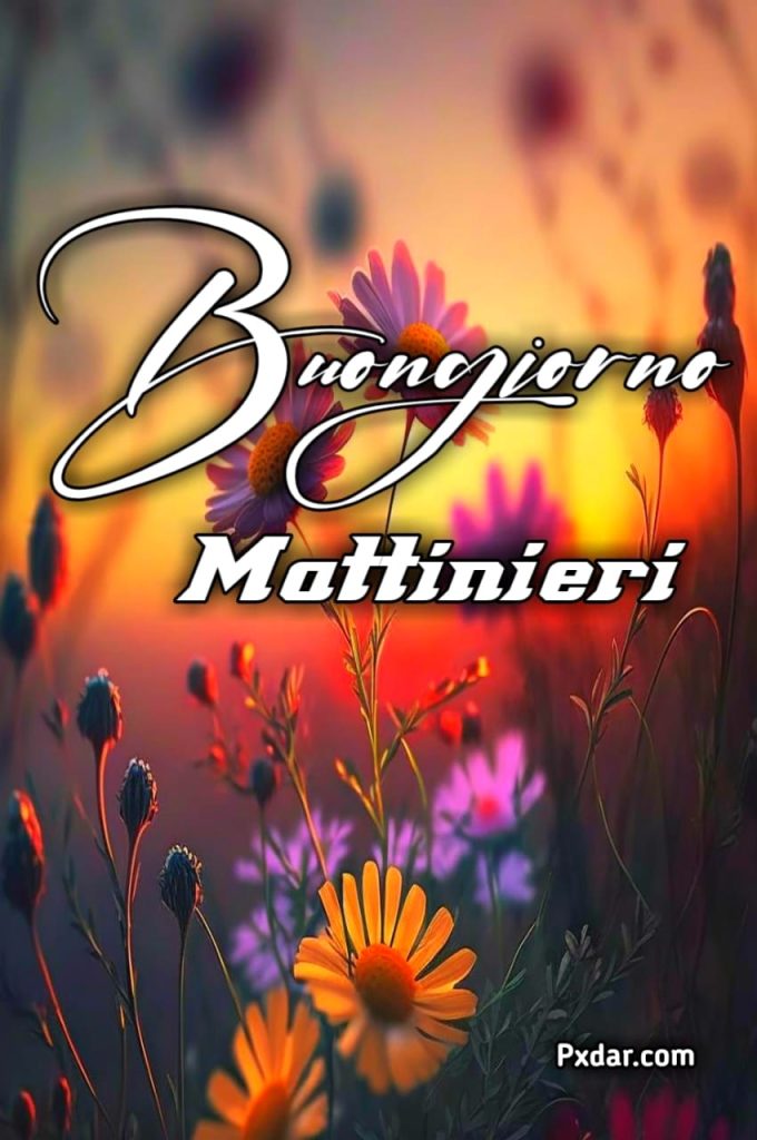 Immagini Di Buongiorno Mattinieri