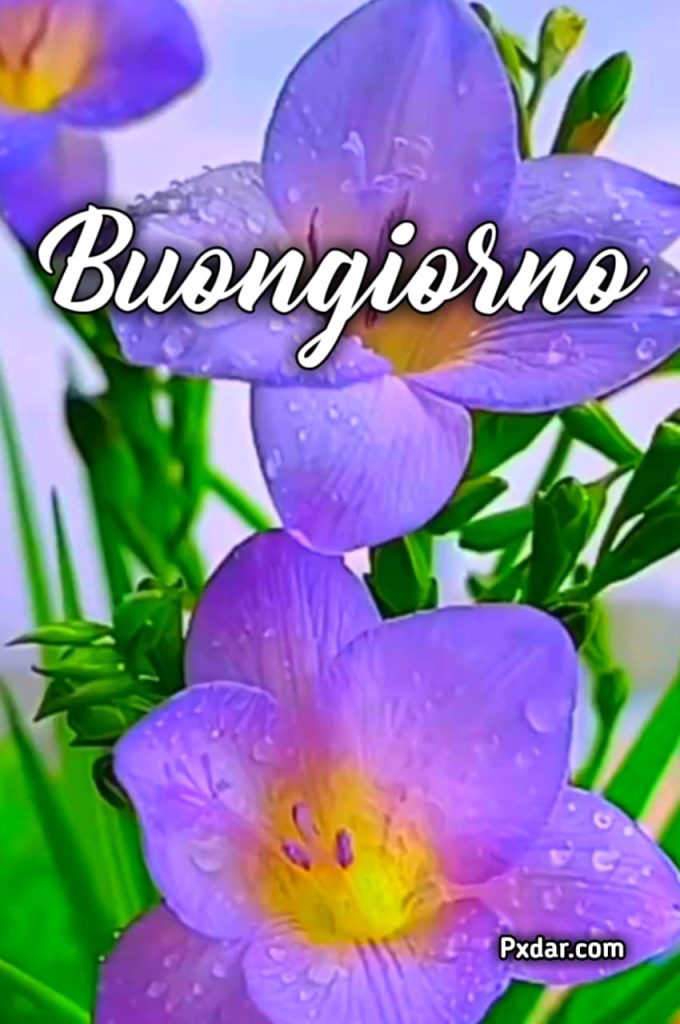 Immagini Di Buongiorno Primaverile