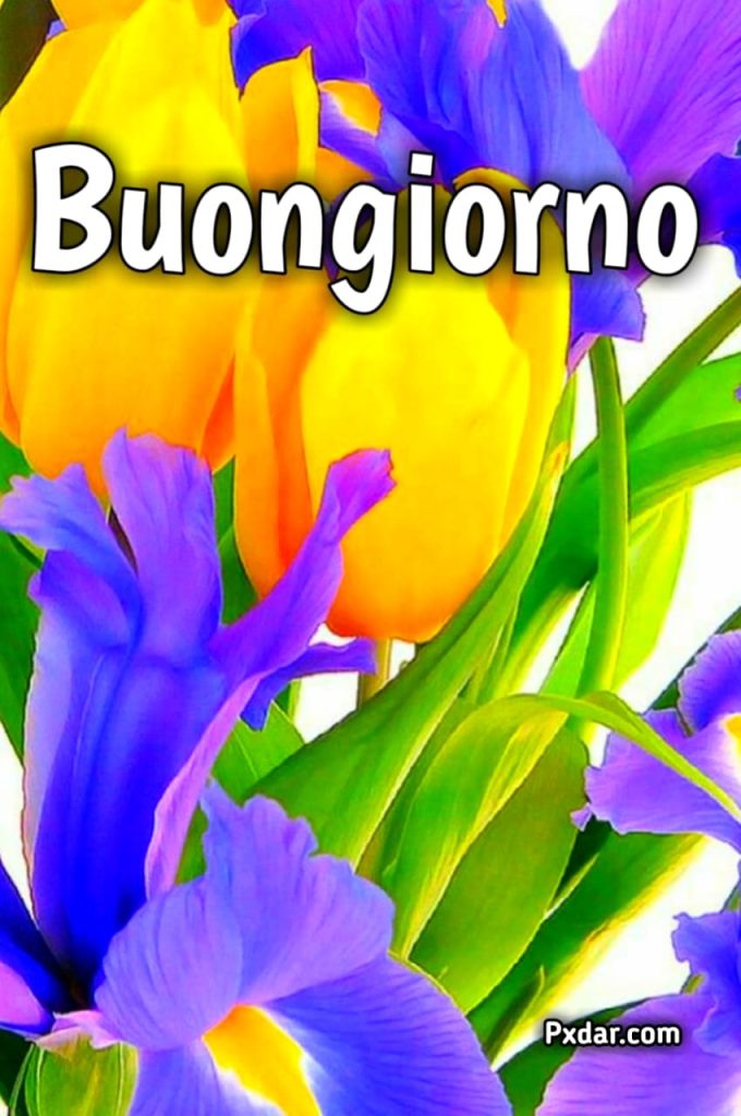 Immagini Di Buongiorno Primaverili