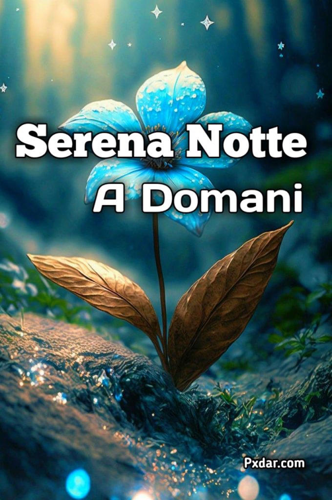 Immagini Notte Serena