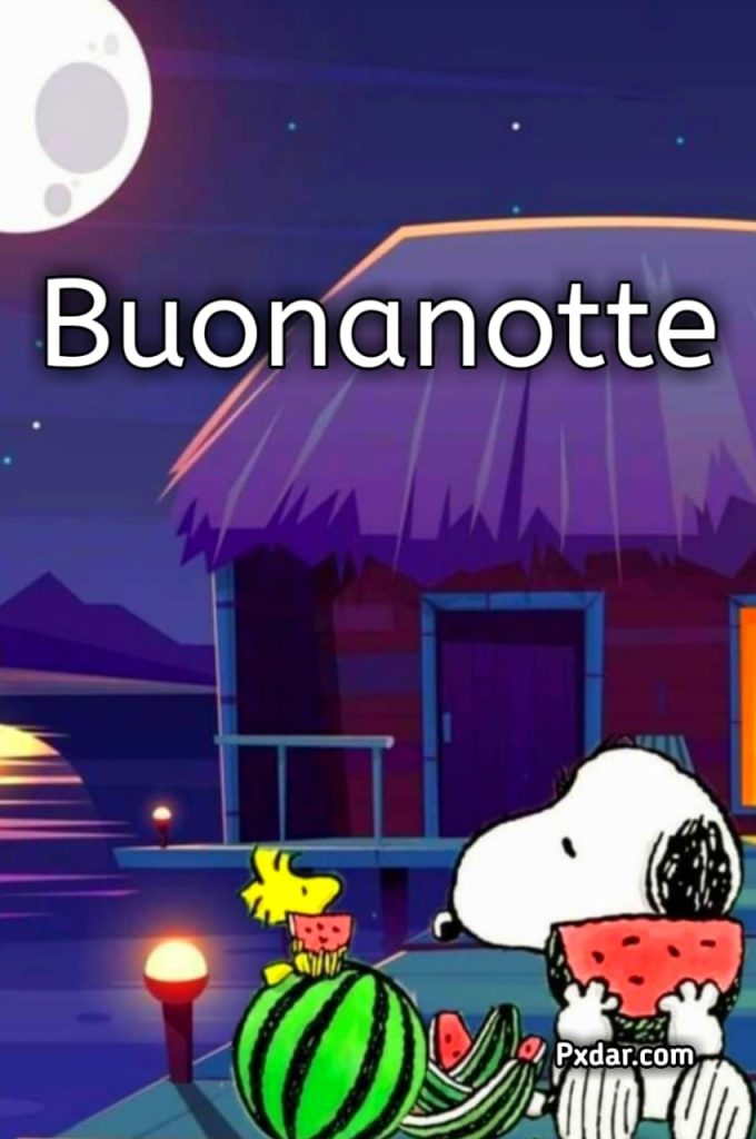 Immagini Snoopy Buonanotte