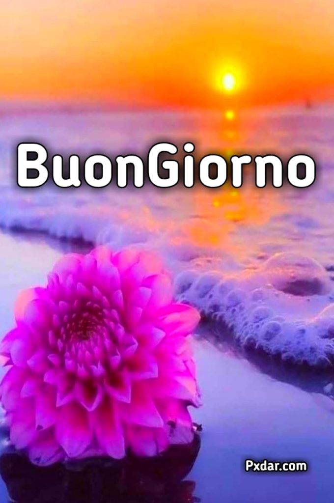 Le Ali Del Sorriso Buongiorno Immagini Nuove Gratis