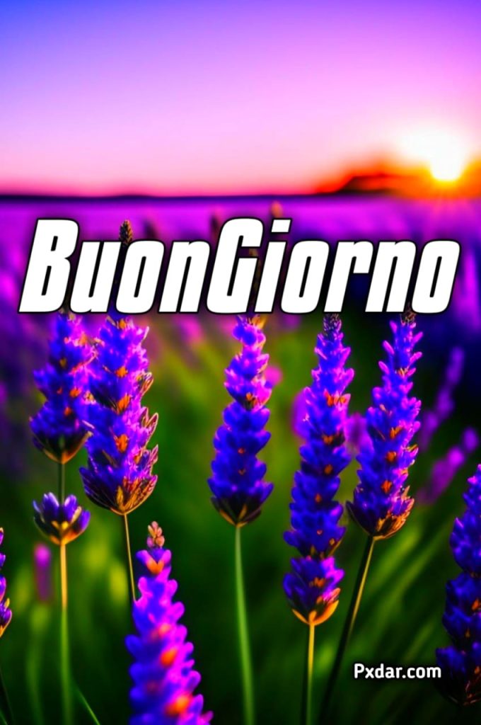 Le Fate Del Sole Buongiorno Immagini Nuove Gratis Per Whatsapp