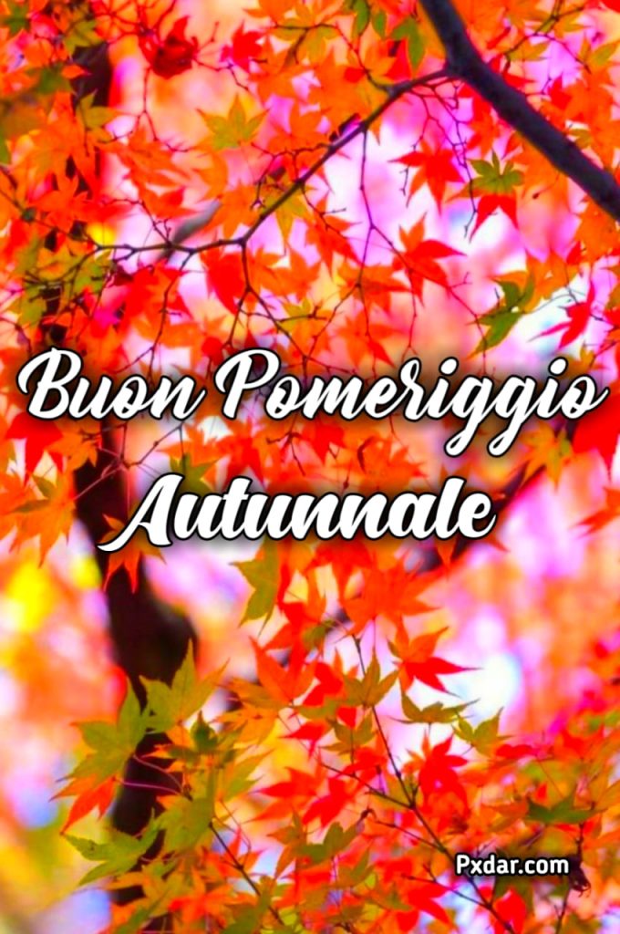 Link Buon Pomeriggio