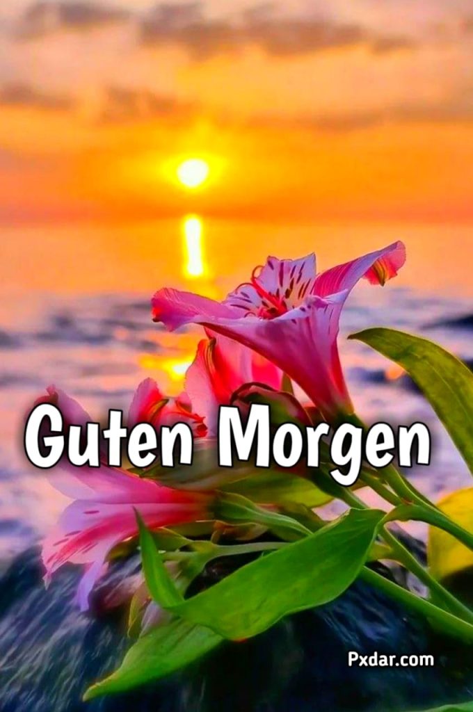 Lustige Guten Morgen Sprüche