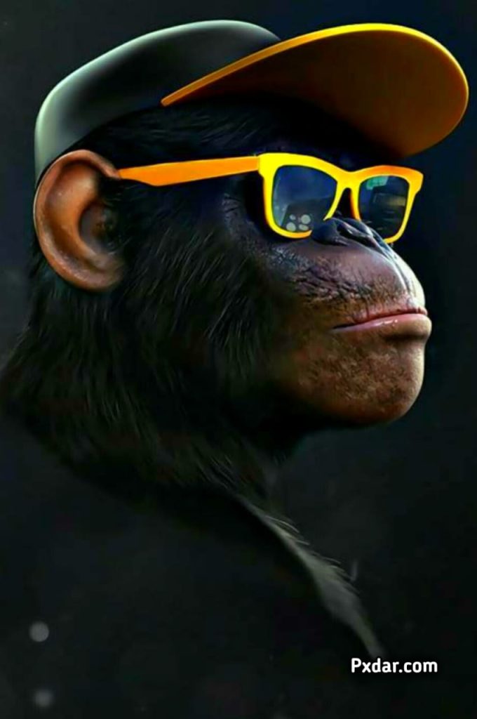 Monkey Smoking Wallpaper