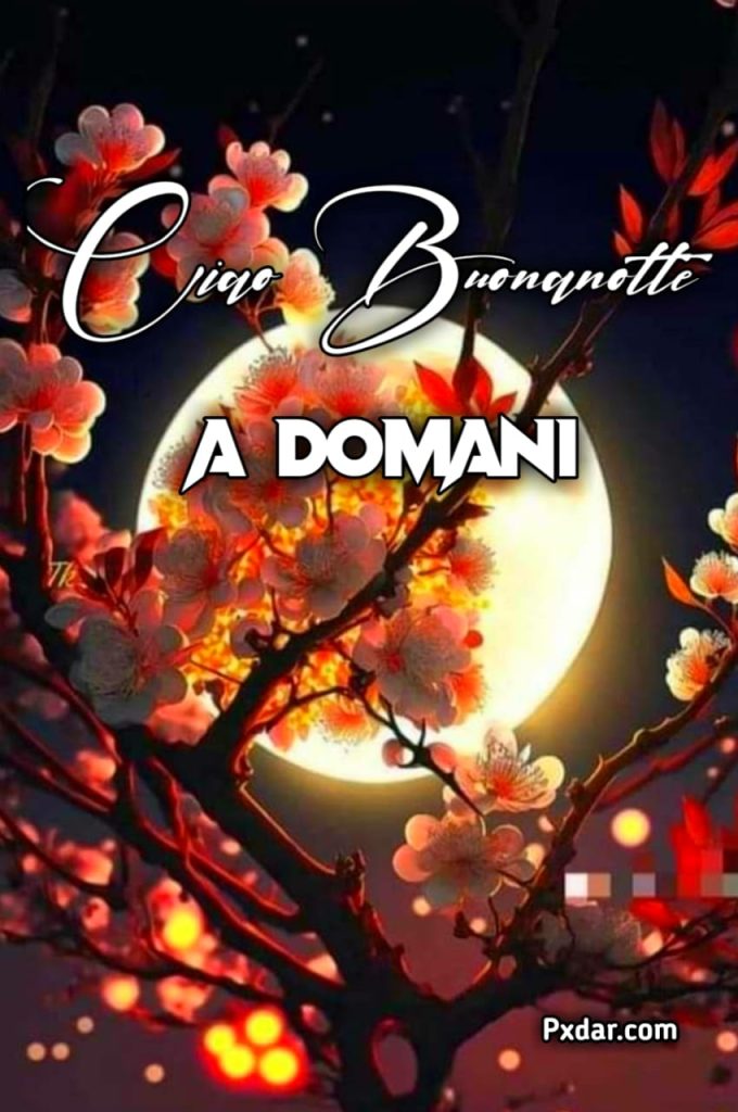 Notte A Domani Immagini Nuove