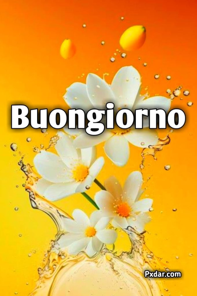 Originali Buongiorno Nell Arte