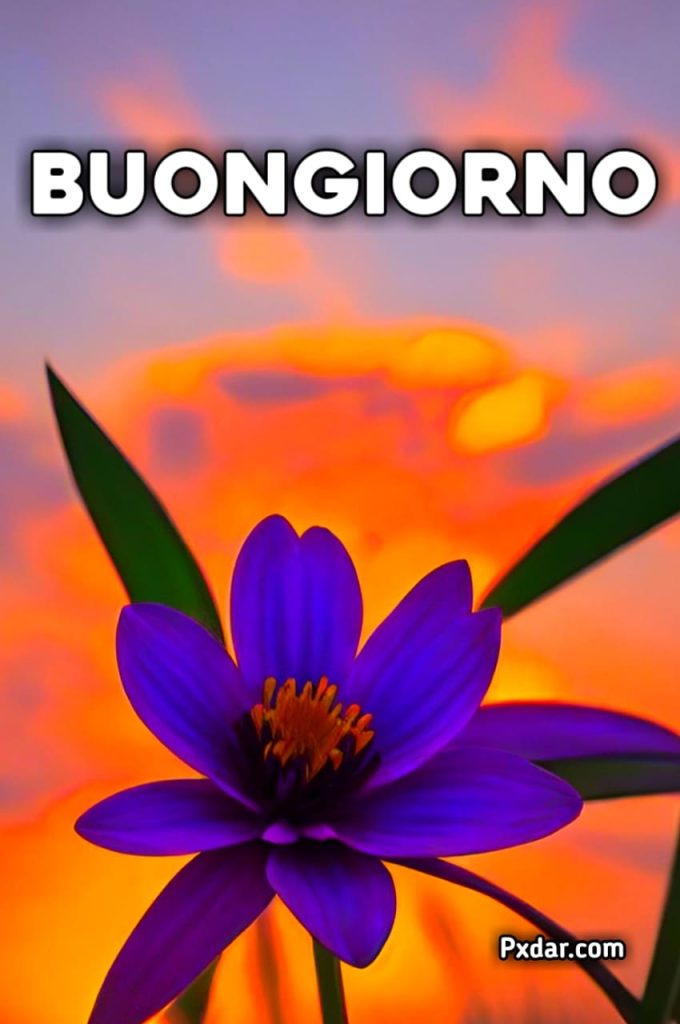 Pinterest Buona Giornata Originale Buongiorno