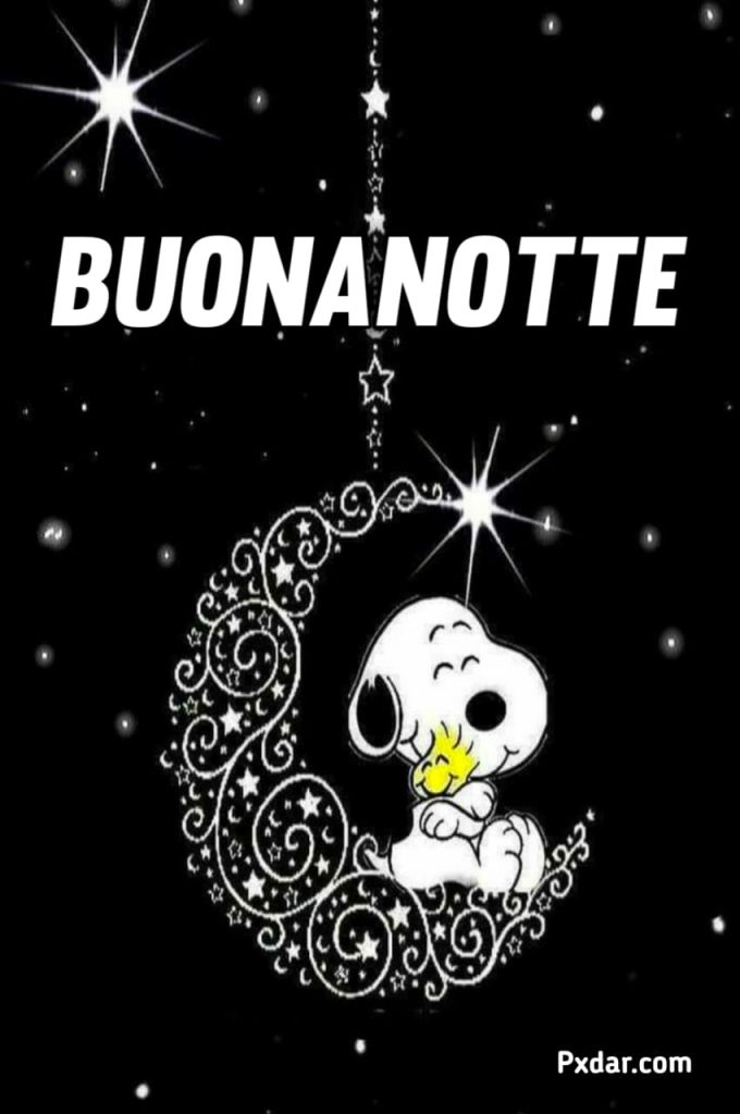 Pinterest Buonanotte Snoopy