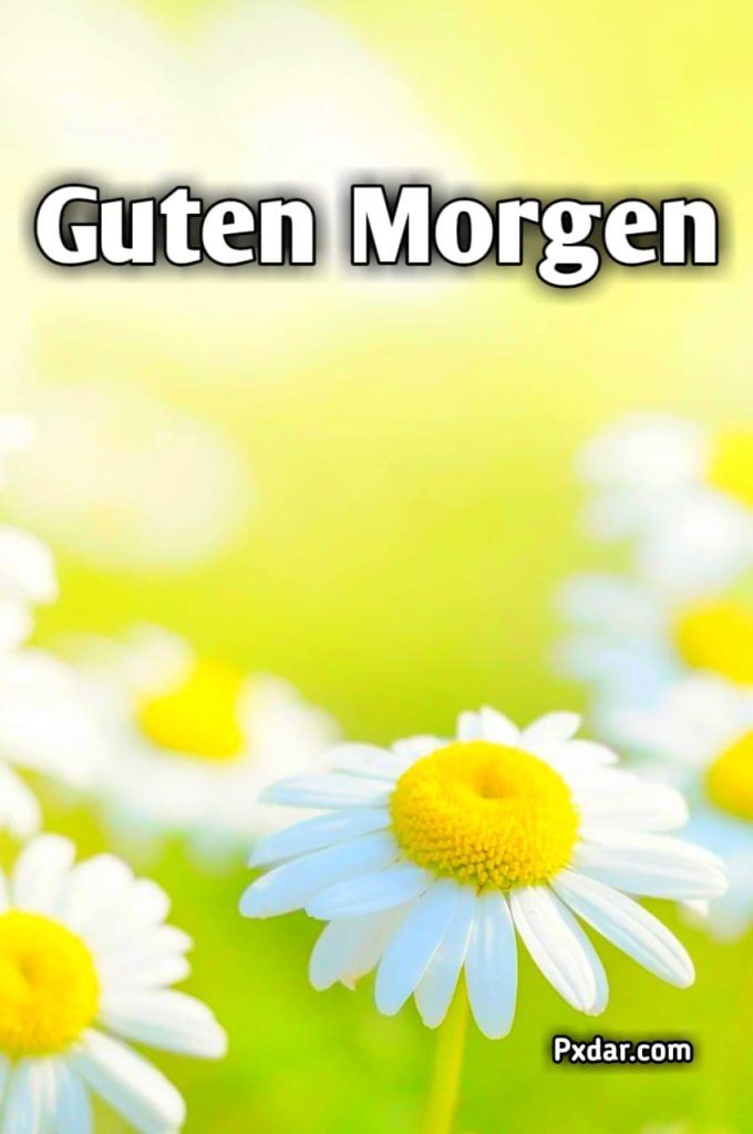 Schöne Guten Morgen Sprüche