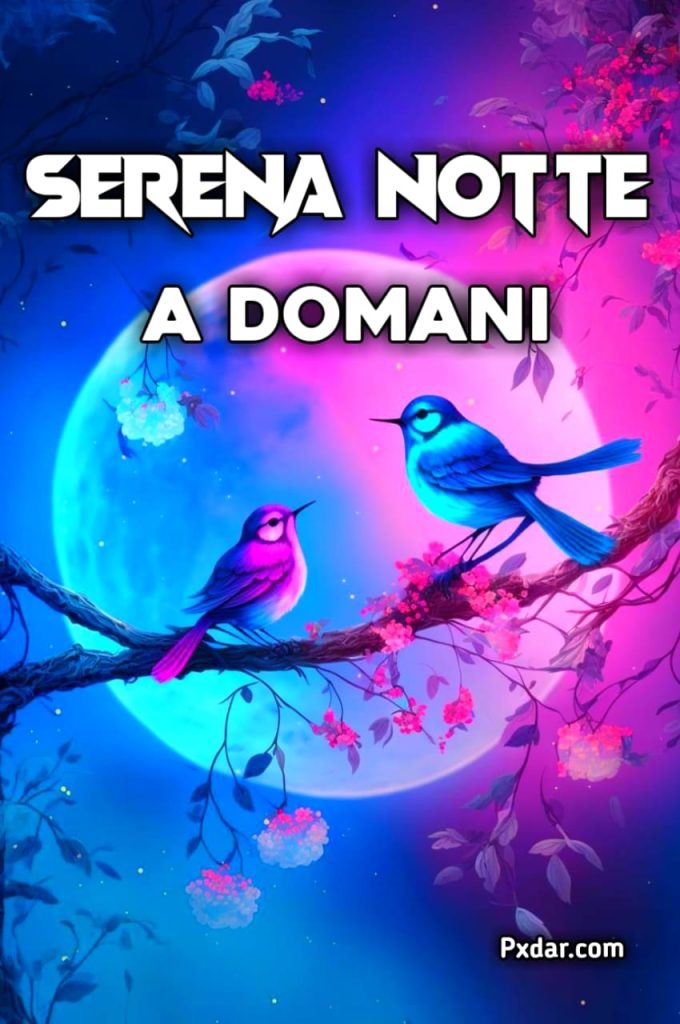 Serena Notte A Domani