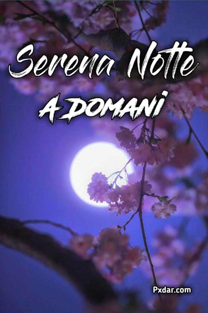 Serena Notte A Domani Immagini