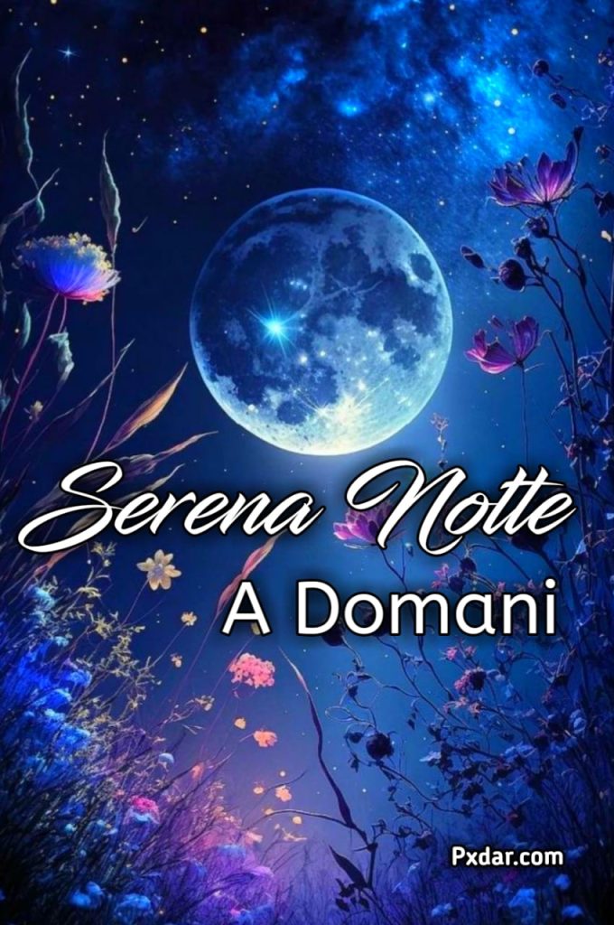 Serena Notte Divertente A Domani