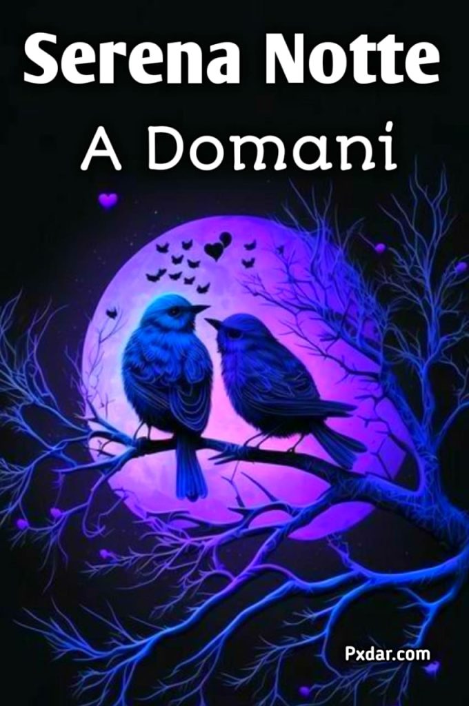 Serena Notte Immagini Nuove