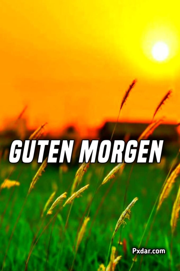 Sprüche Guten Morgen