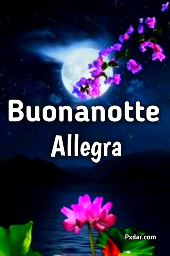 Umoristico Buonanotte Allegra