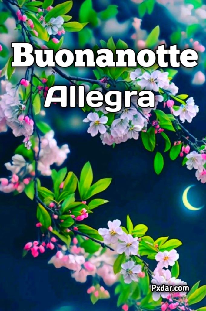 Umoristico Buonanotte Allegria