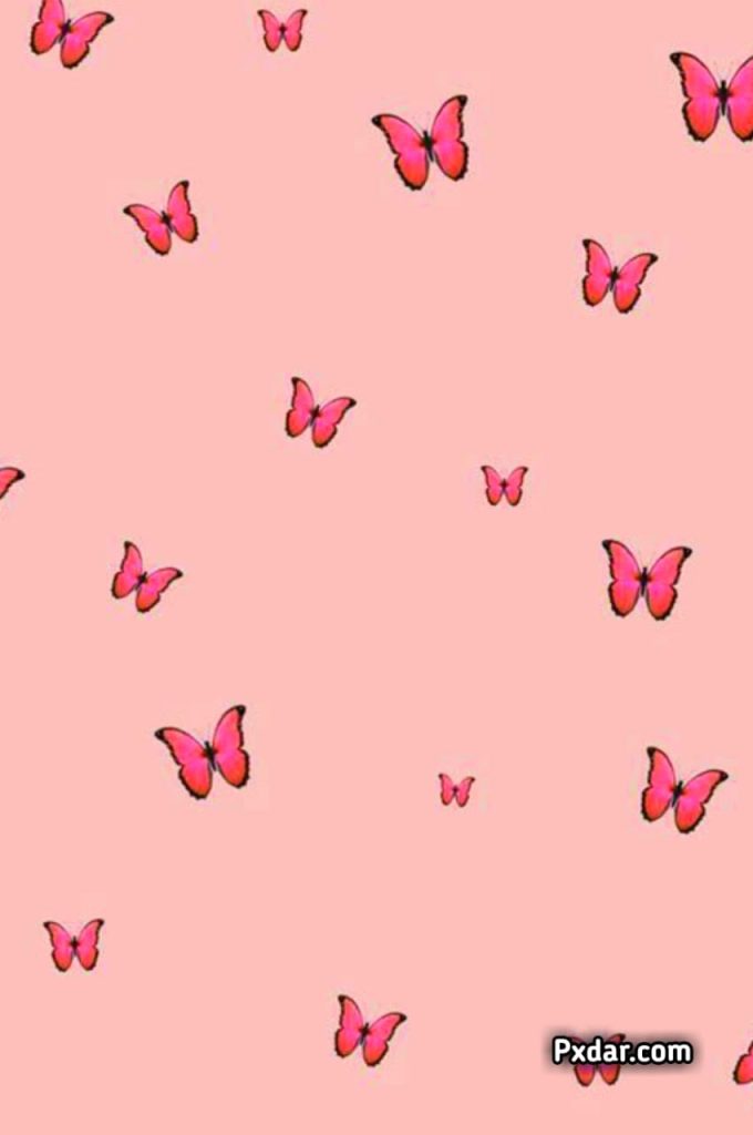 Wallpaper Pink