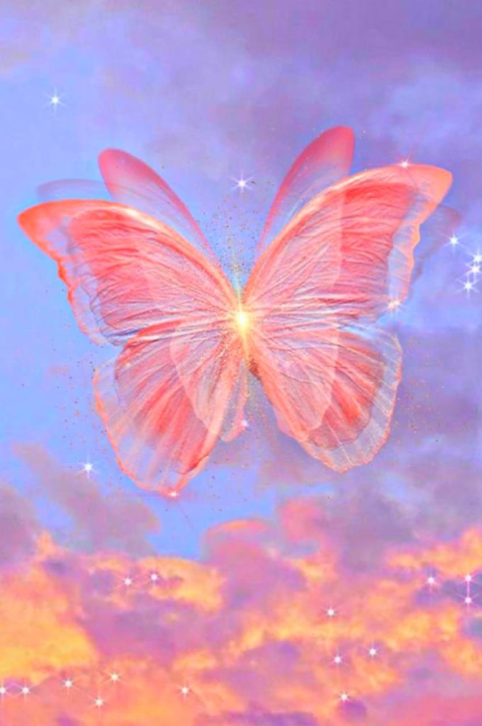 Pink Butterfly Aesthetic