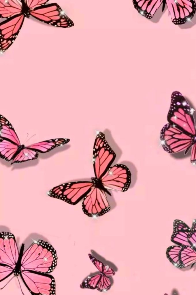 Pink Butterfly Backgrounds