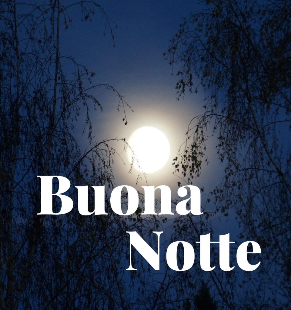 Buonanotte Gif