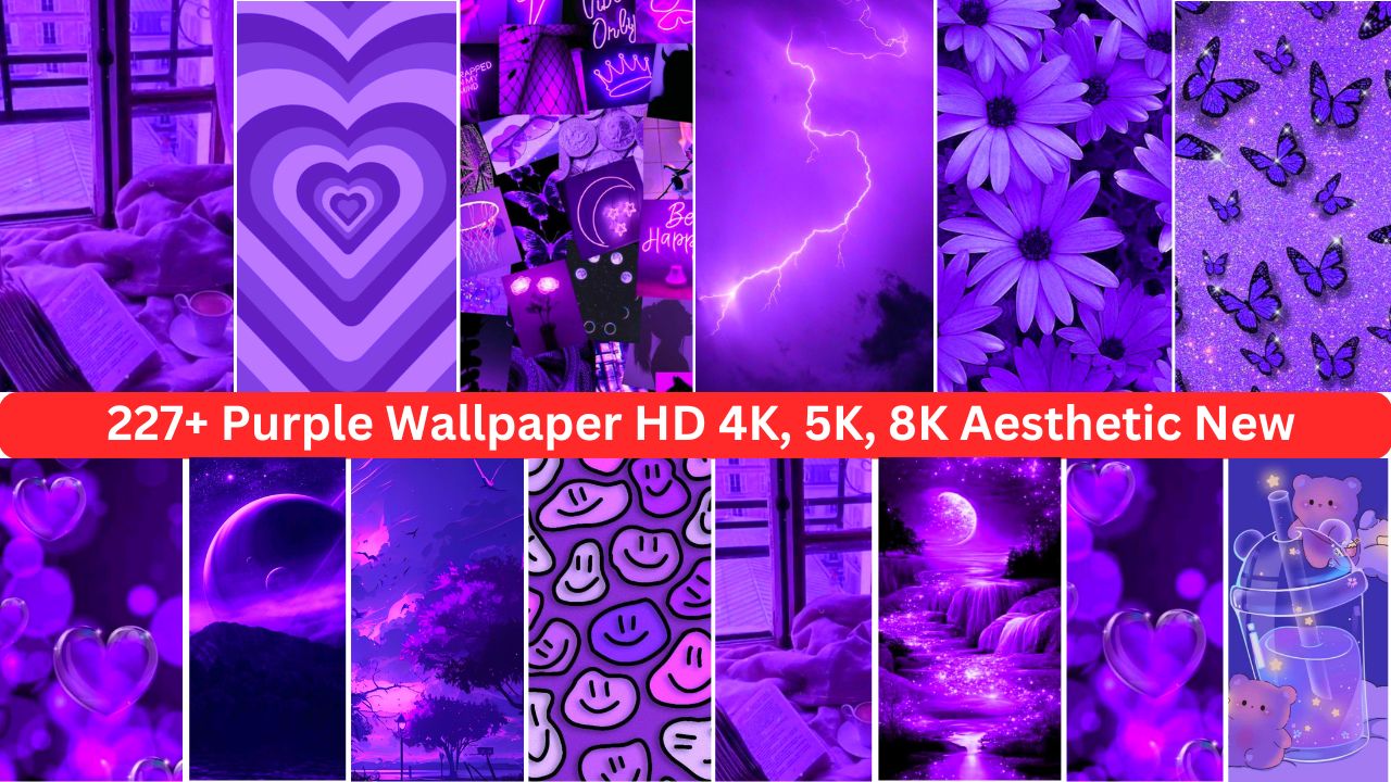 227+ Purple Wallpaper Hd 4k, 5k, 8k Aesthetic New 2024