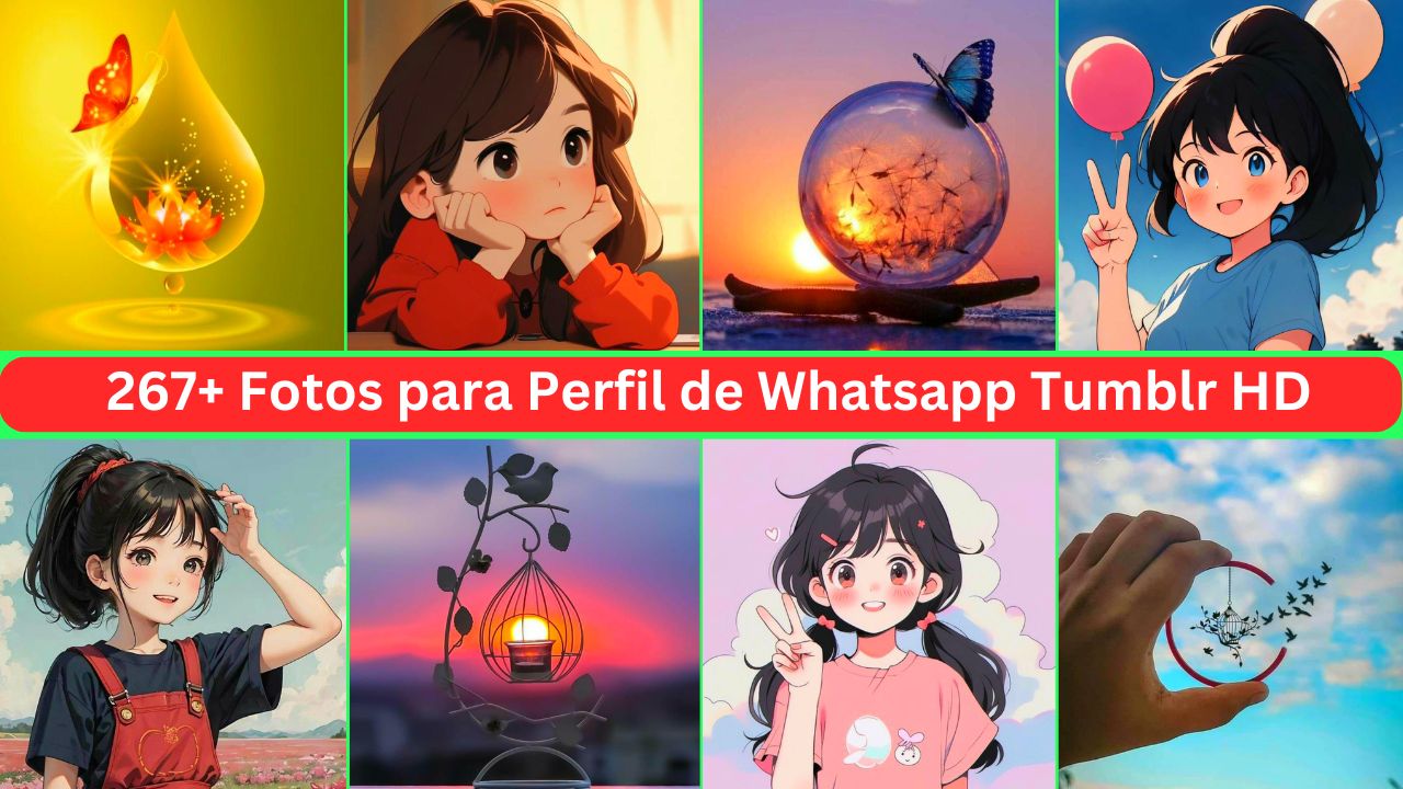 267+ Fotos Para Perfil De Whatsapp tumblr Hd 2024