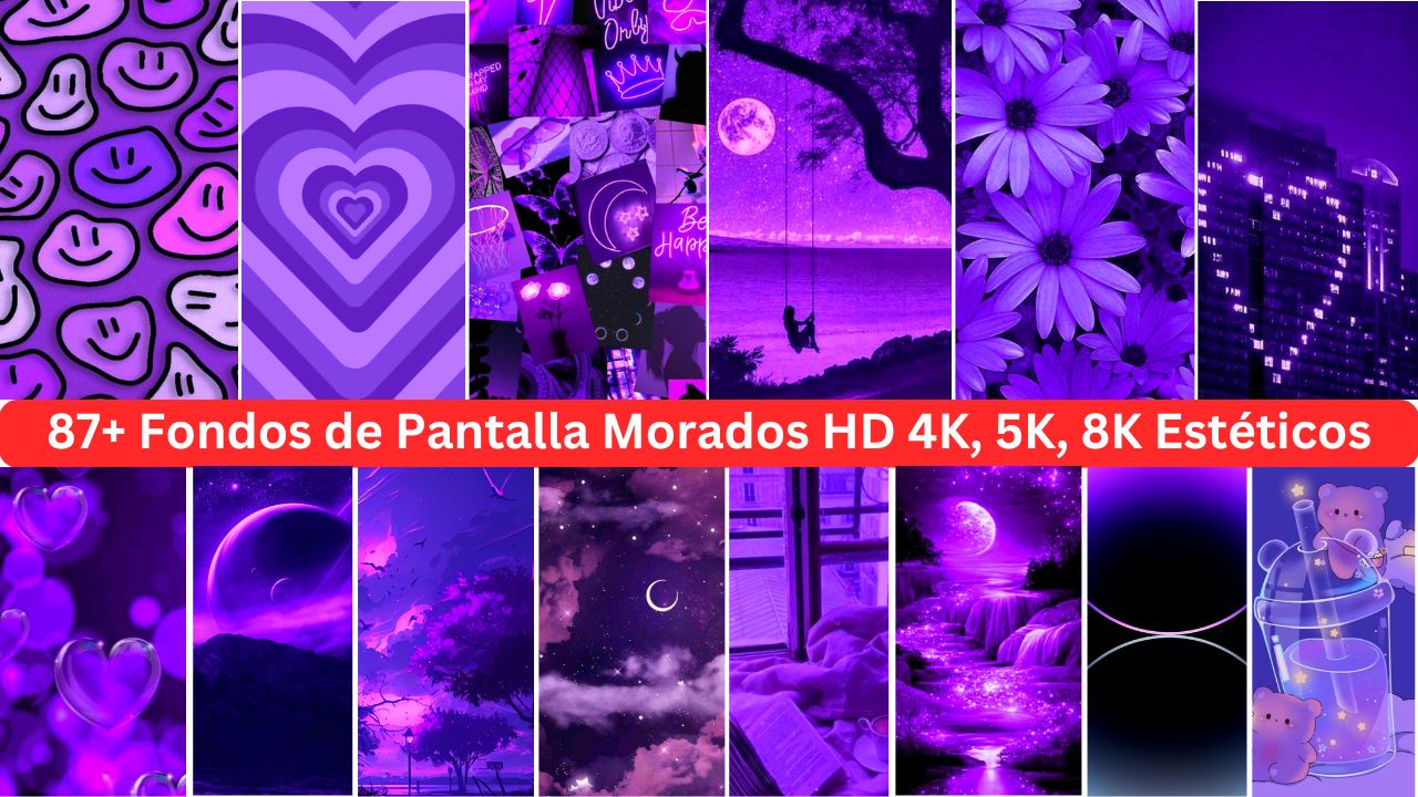 87+ Fondos De Pantalla Morados Hd 4k, 5k, 8k Estéticos 2024