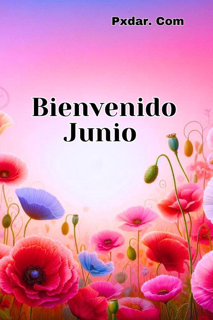 Bienvenido Junio Imagenes