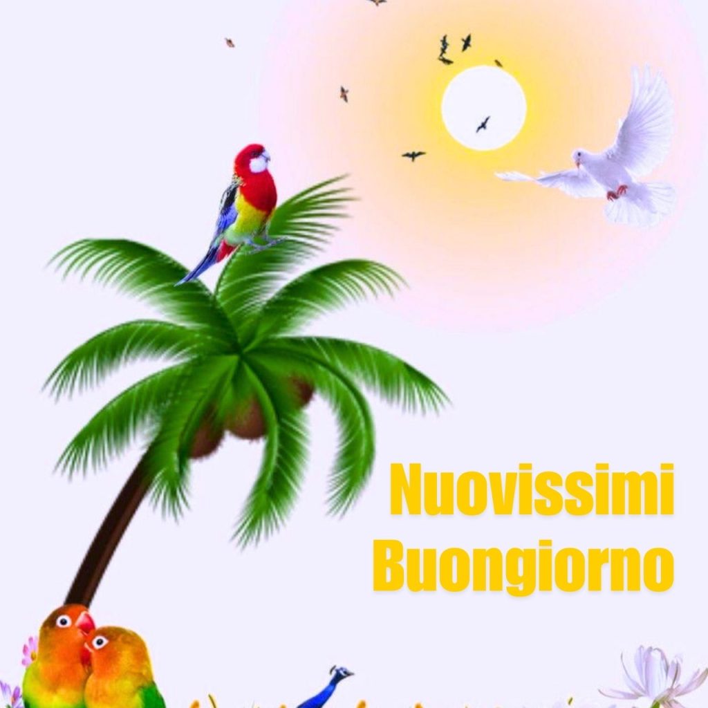 Buongiorno Immagini Nuove Gratis