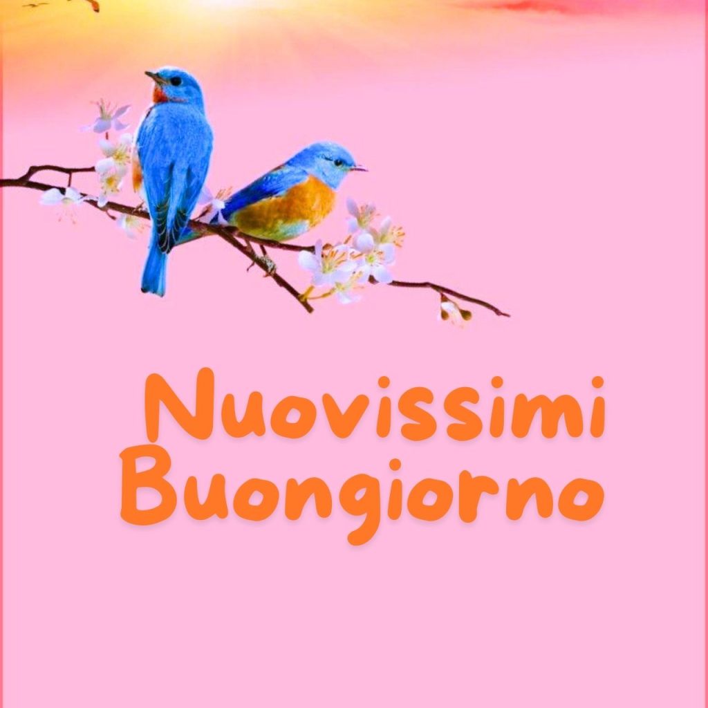 Buongiorno Nuovissimi