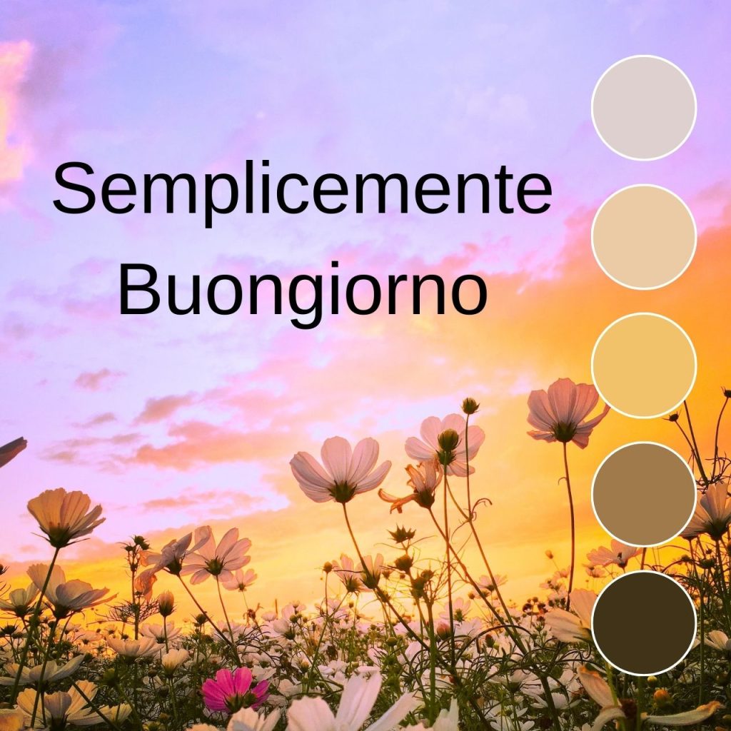 Semplicemente Buongiorno Immagini Nuove Gratis Per Whatsapp,buonanotte